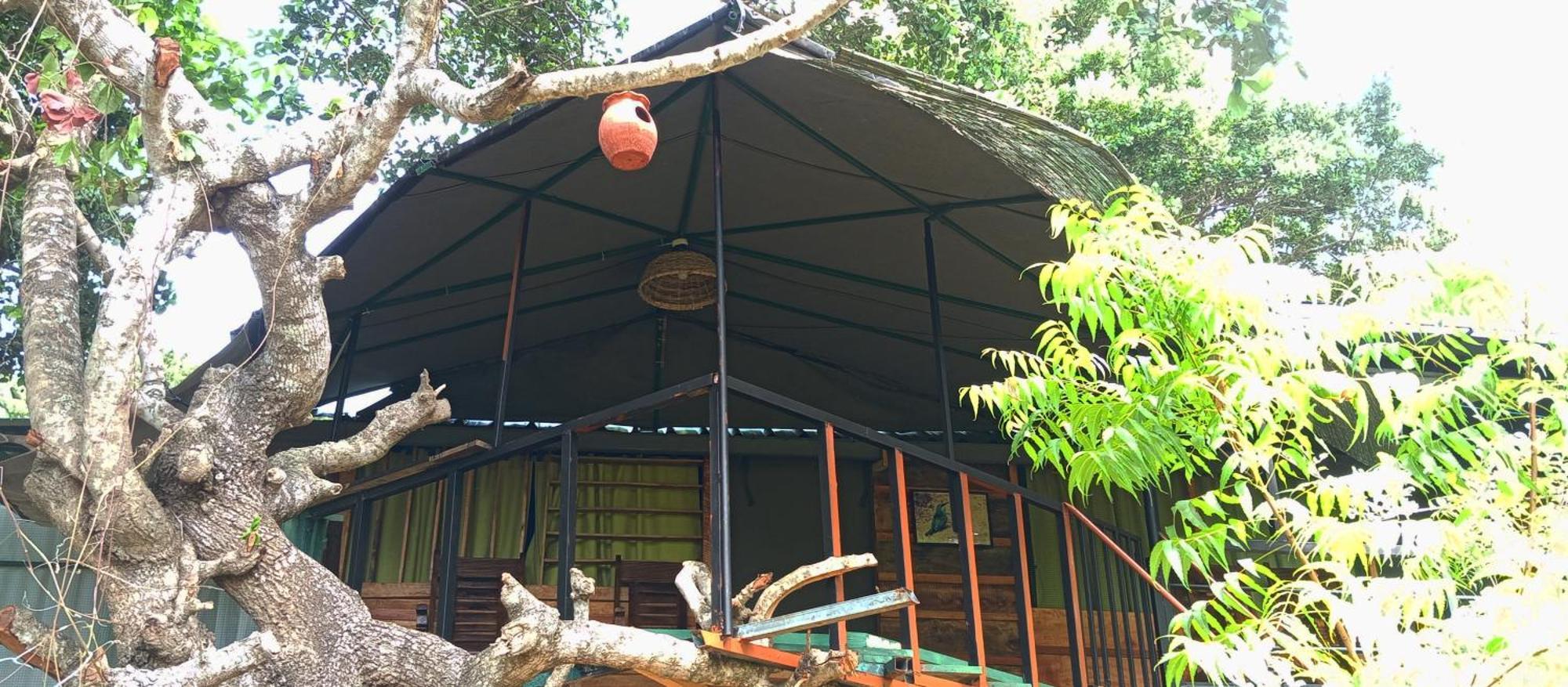 Jungle Cabin - Bundala Bundala Levagangoda Eksteriør bilde